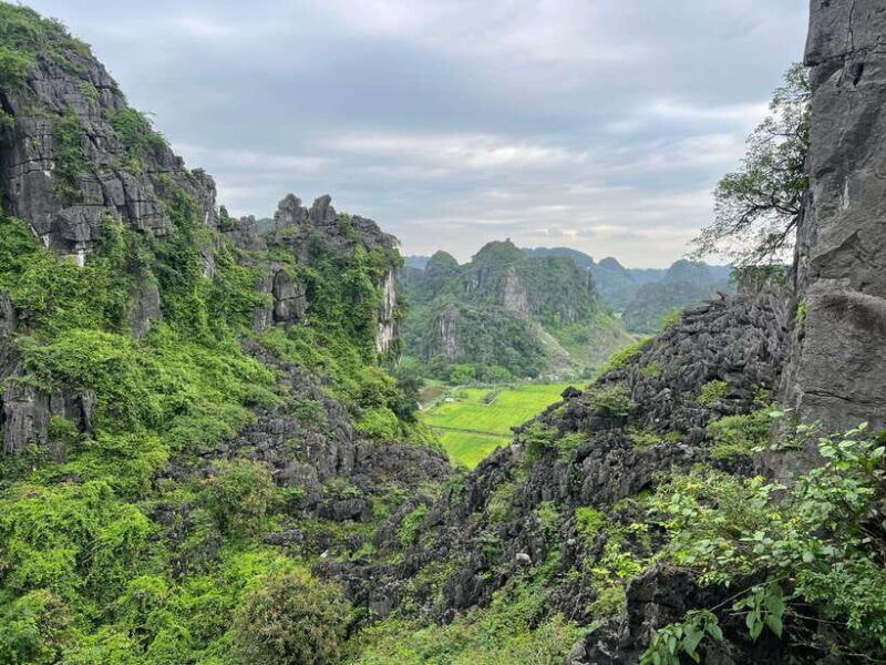ninh-binh-and-cuc-phuong-national-park-2-day-private-tour