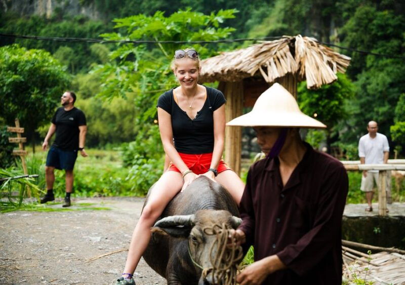 ninh-binh-buffalo-riding-rice-planting-group-tour