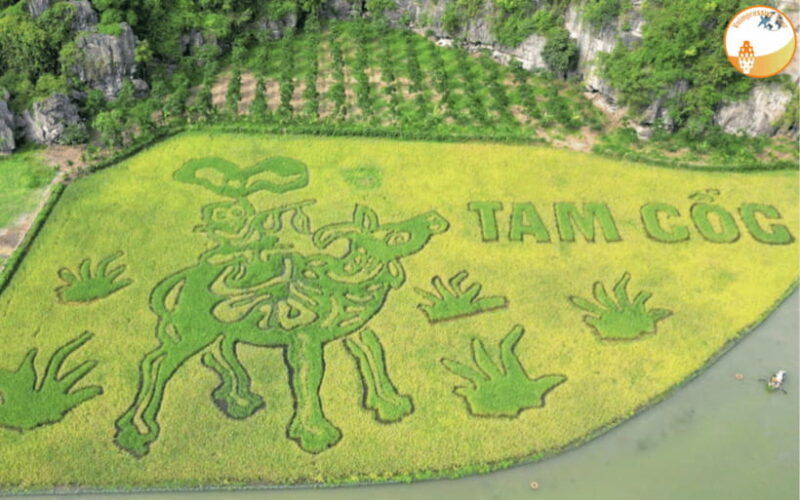 ninh-binh-day-trip-hoa-lumua-caves-thung-nham-bird-valley