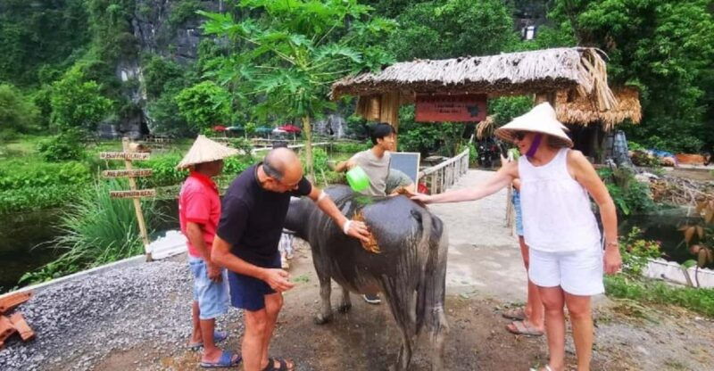 ninh-binh-motorbike-tour-with-pagoda-countryside-villages