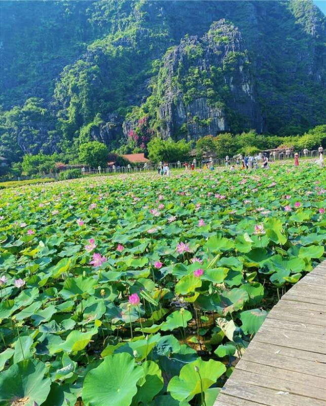 ninh-binhmotorbike-tour-countryside-visit-and-cooking-class-2
