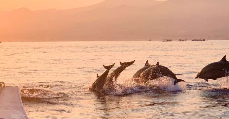 north-bali-lovina-dolphins-and-ulun-danu-temple