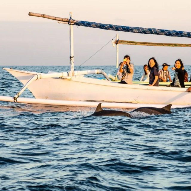 north-bali-lovina-watching-dolphins-and-sunrises-tour