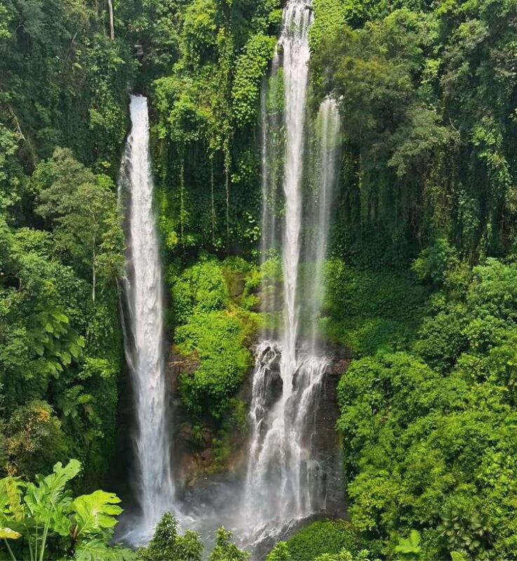 north-bali-sekumpul-and-banyumala-waterfalls-rice-terrace
