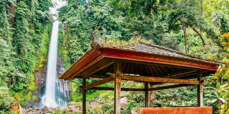north-bali-sunrise-tour-with-dolphins-waterfalls-temples