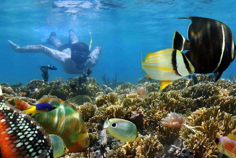 nusa-dua-tanjung-benoa-snorkeling-tour-with-pickup-options