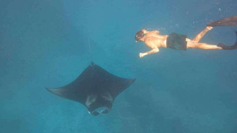 nusa-penida-private-snorkeling-with-manta-ray-and-west-tour