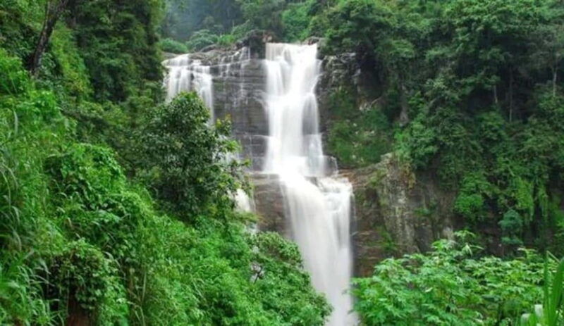 nuwara-eliya-guided-tour-with-tea-factory-visit