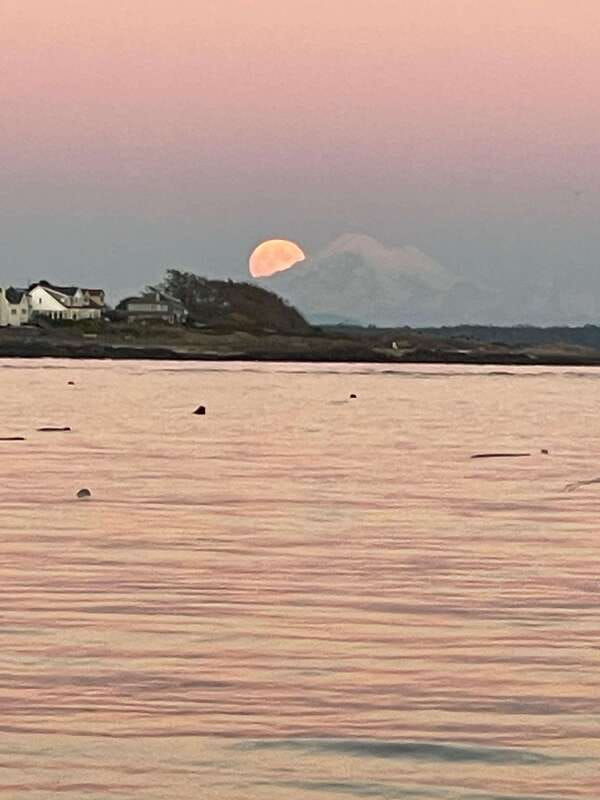 oak-bay-full-moon-paddle-experience