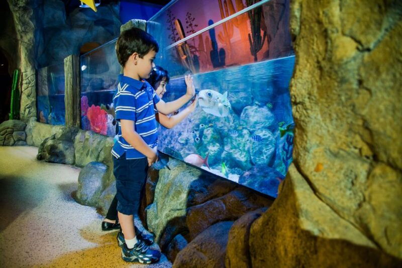 oberhausen-legoland-discovery-centre-and-sea-life-ticket