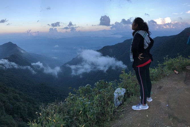 Oddessemania to dzukou valley - What Makes This Tour Stand Out?