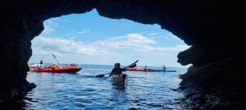oddicombe-wildlife-bushcraft-and-sea-cave-kayak-safari
