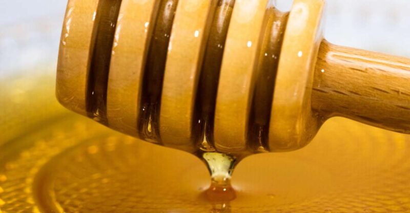 olicatessen-greek-honey-tasting-in-thessaloniki