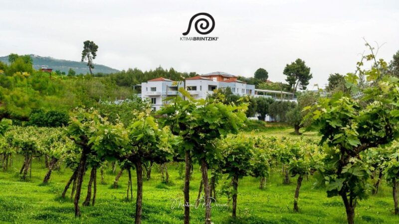 olympias-secrets-wine-enchantment-tour-all-included