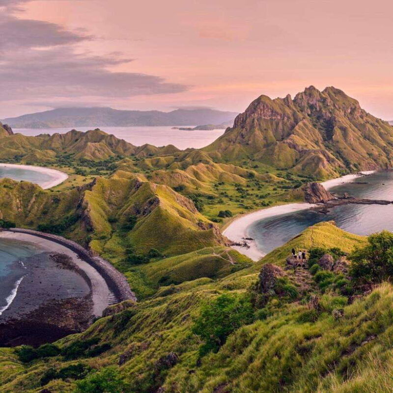one-day-komodo-tour-by-speedboat