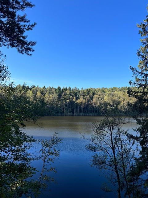 oslo-scenic-hike-with-dog-local-guide
