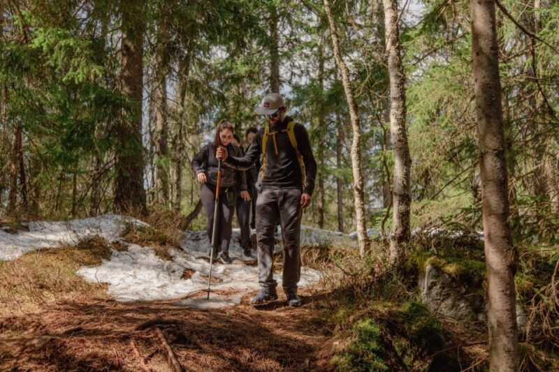 oslo-skjennungstoppen-wildlife-forest-hiking-tour
