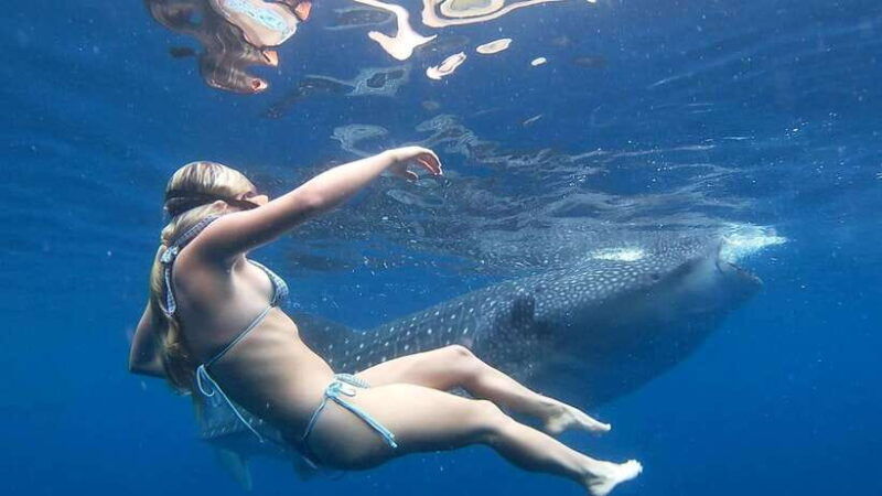 oslob-whale-shark-adventure-inambakan-falls-exploration