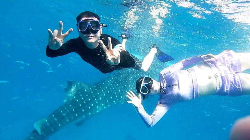 oslob-whale-shark-swim-aguinid-falls-canyoneering-tour
