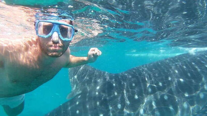 oslob-whale-sharks-inambakan-falls-moalboal-sardines