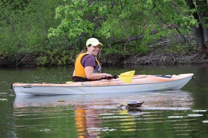 ottawa-ecological-reserve-kayak-tour-with-turtle-sightings