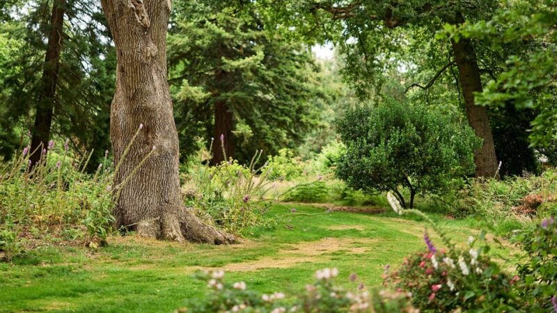 oxford-harcourt-arboretum-entry-ticket