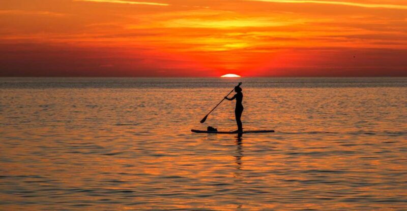 paddle-board-rental-glide-on-the-water-with-ease