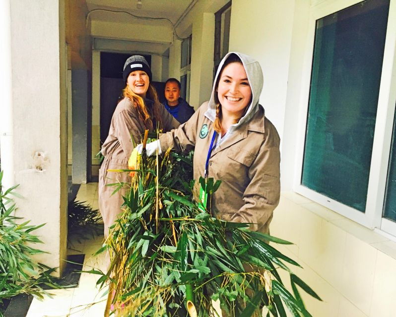 panda-volunteer-project-day-tripwolong-du-jiang-yan