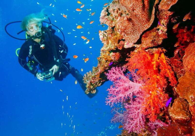 panglao-discover-scuba-diving-for-beginners