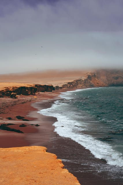 paracas-ballestas-islands-boat-tour-ballestas-islands