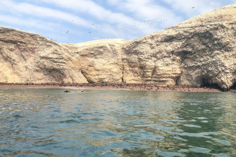 paracas-ballestas-islands-morning-boat-tour