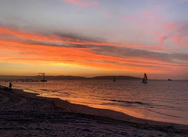 paracas-bay-catamaran-adventure