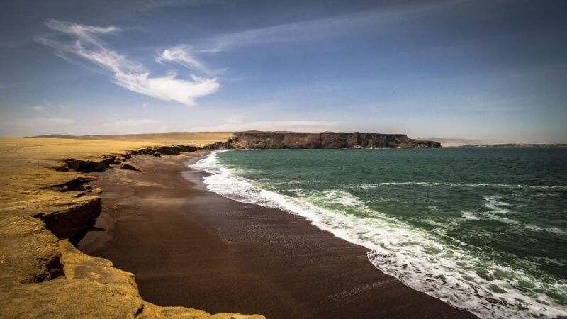 paracas-paracas-national-reserve-half-day-tour