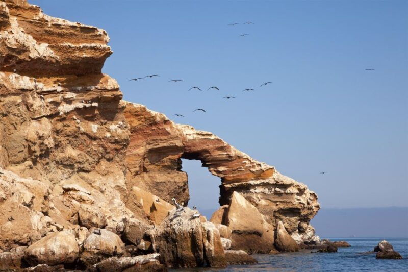 paracas-short-excursion-to-ballestas-island-sea-lions