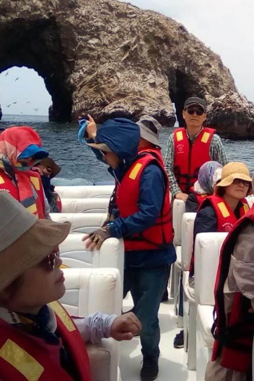 paracas-tours-to-ballestas-islands-by-speed-boat