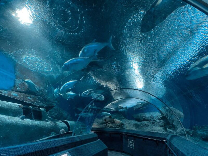 pattaya-underwater-world-pattaya-aquarium-admission-ticket