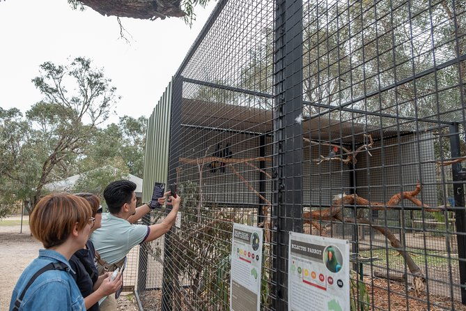 Penguin Parade, & Wildlife Encounters Eco Tour from Melbourne - Key Points