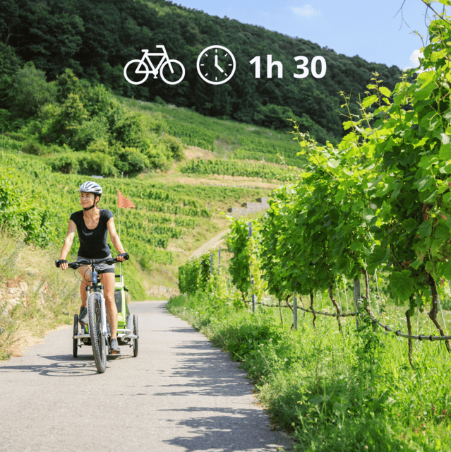 perugia-bike-tour-and-wine-tasting-in-the-vineyards
