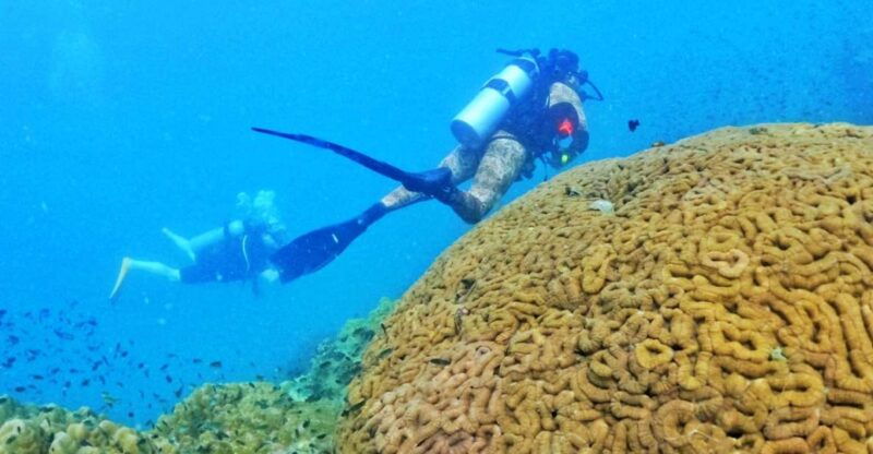 phu-quoc-scuba-diving-experience-for-all-levels