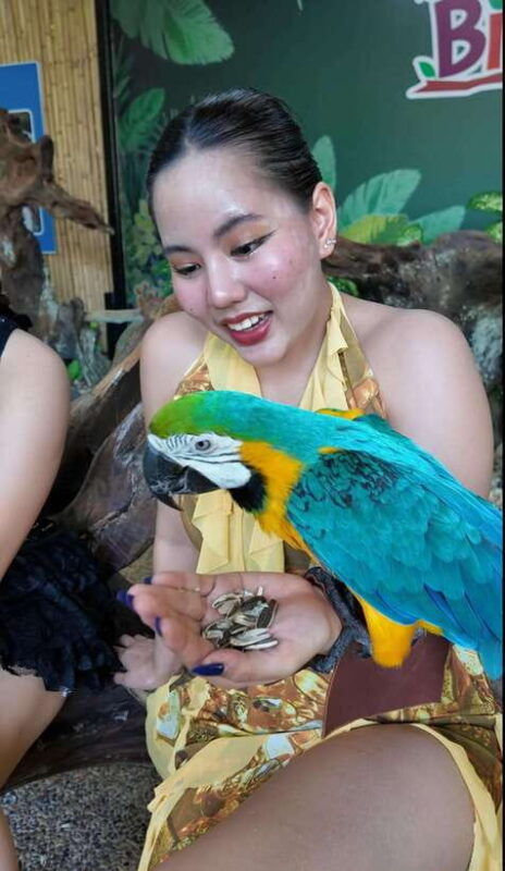 phuket-bird-park-entry-ticket