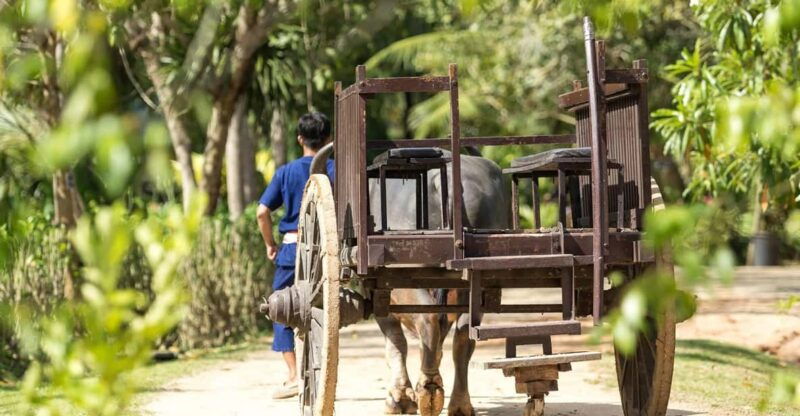 phuket-full-day-local-life-culture-tour-with-pickup-lunch