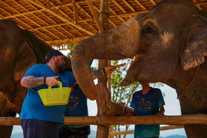 phuket-meet-feed-relax-with-elephant
