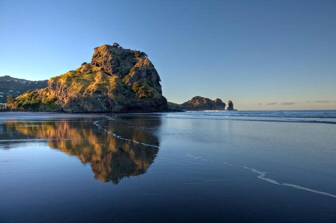 Piha Beach - Exploring the Charm of Piha Beach: A Detailed Review of the Tour  