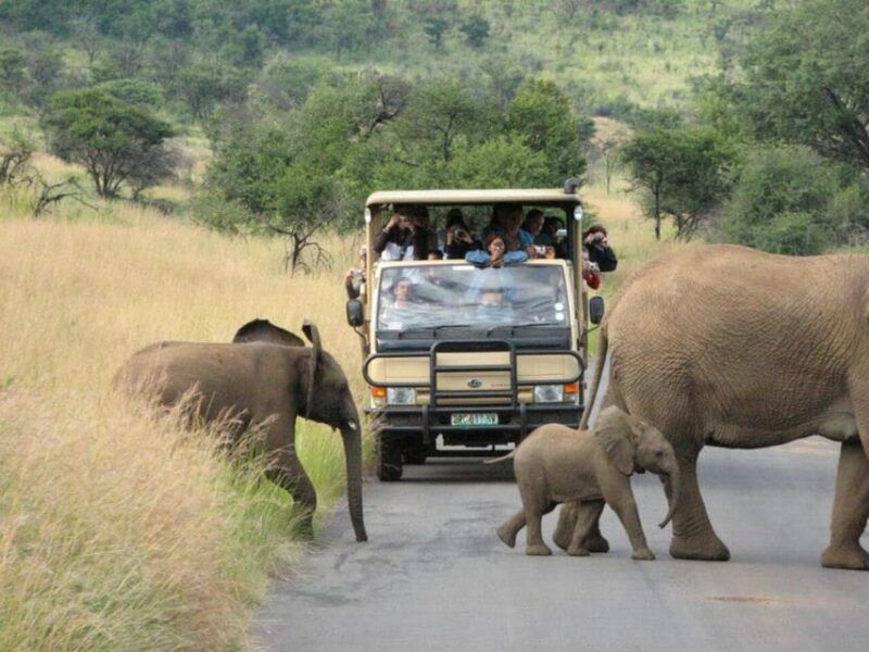 pilanesberg-national-park-6h-game-drive-with-lunch