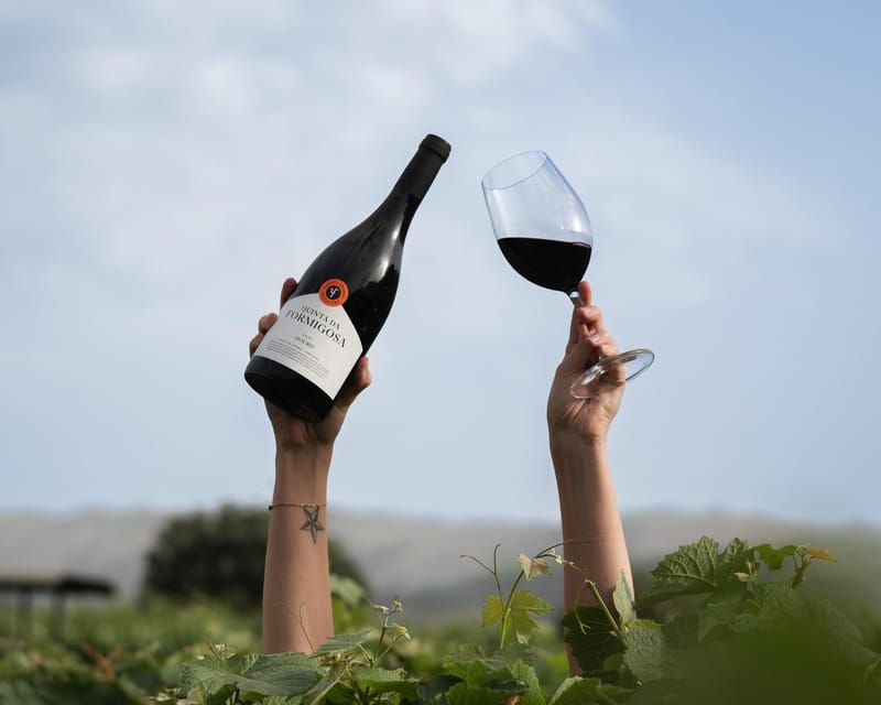 pinhao-quinta-da-formigosa-vineyard-tour-and-wine-tasting