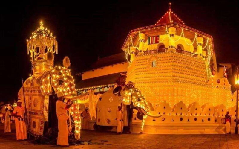 pinnawalakandy-day-tour-from-colombo-negombo
