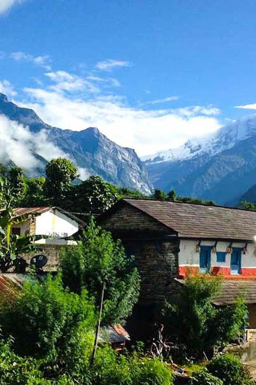 pokhara-3-day-australin-camp-dhampus-ghandruk-easy-trek