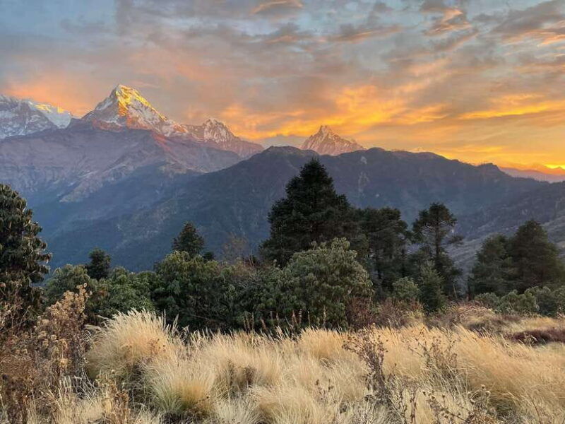 pokhara-4-day-poon-hill-and-ghandruk-guided-trek