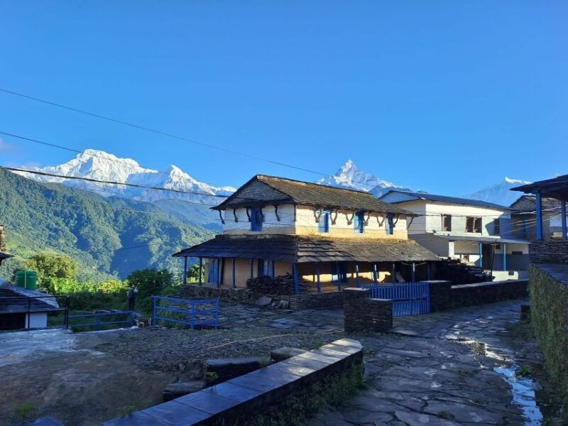pokhara-australian-camp-dhampus-village-group-join-hike