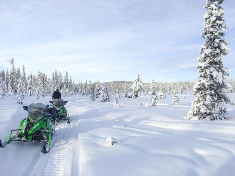 polar-nature-tour-on-snowmobile